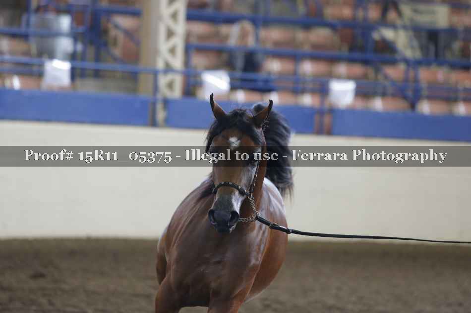 Proof 15R11_05375