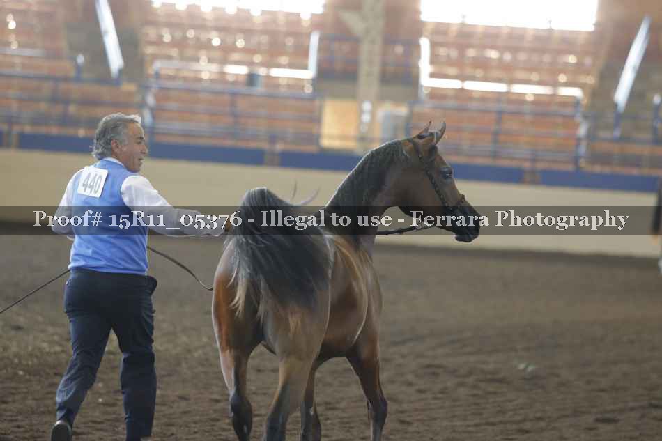 Proof 15R11_05376