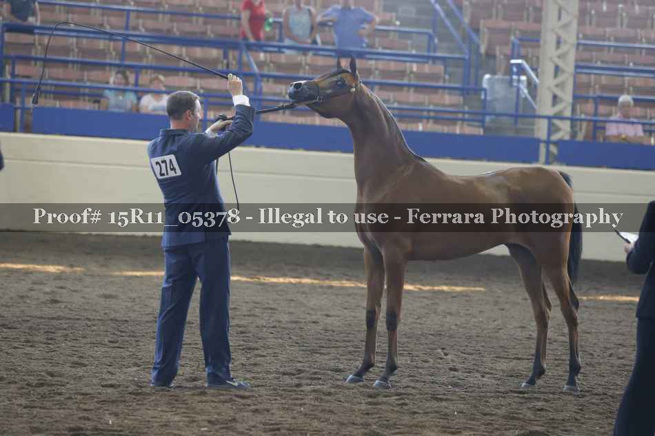 Proof 15R11_05378