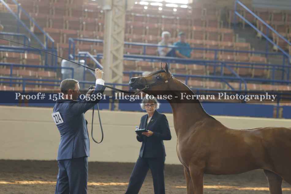 Proof 15R11_05381