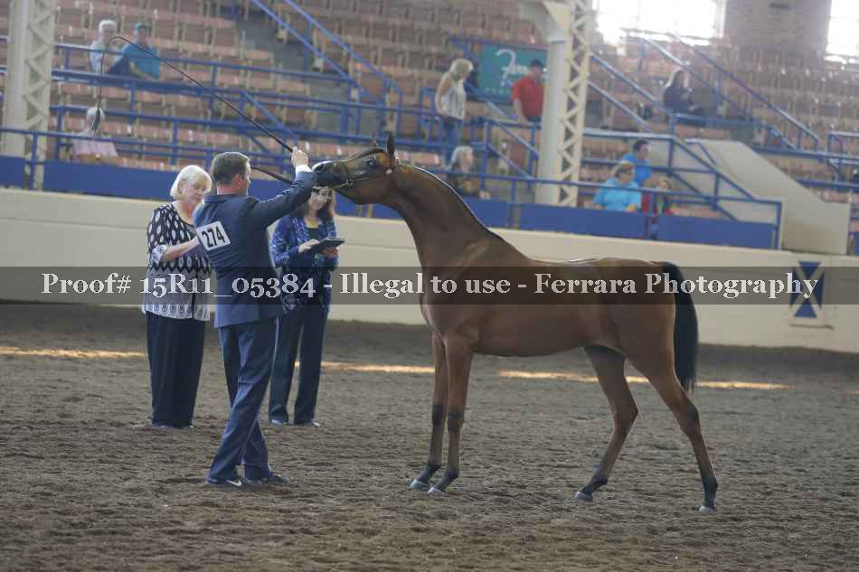 Proof 15R11_05384