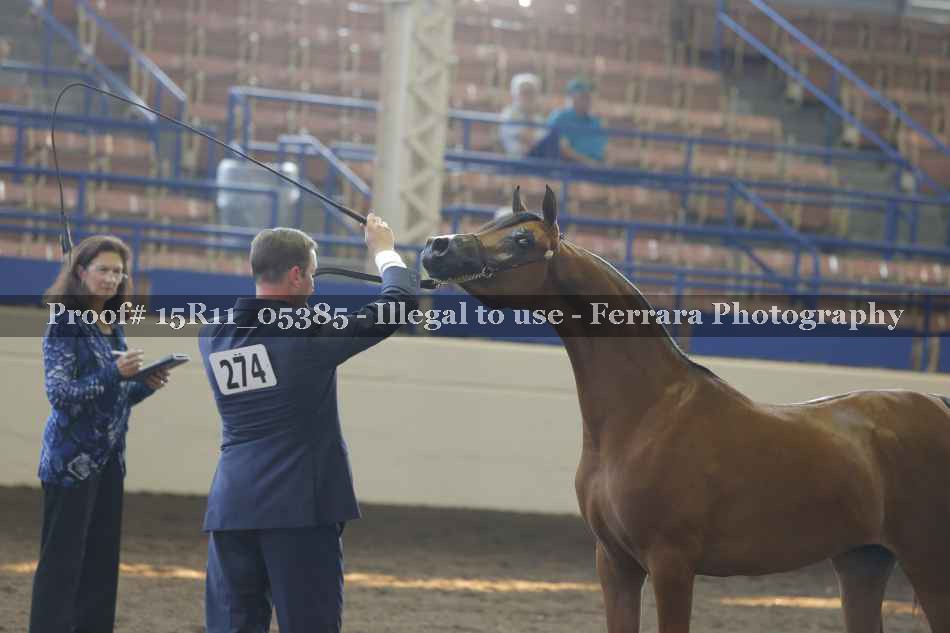 Proof 15R11_05385