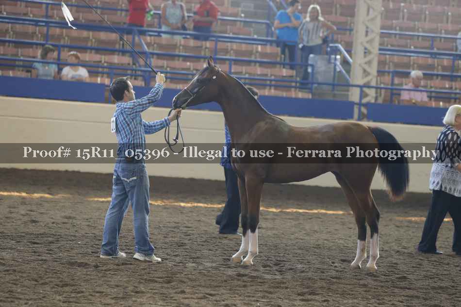 Proof 15R11_05396