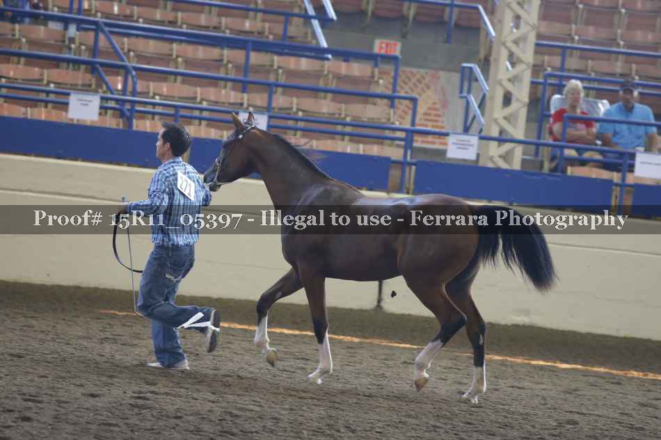 Proof 15R11_05397