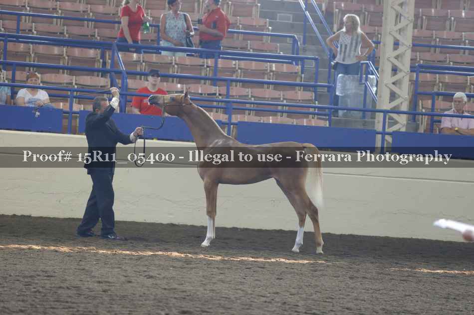 Proof 15R11_05400