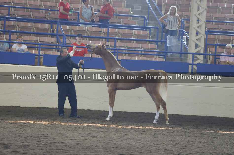 Proof 15R11_05401