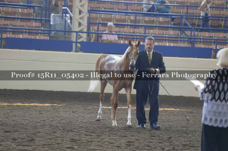 Proof 15R11_05402