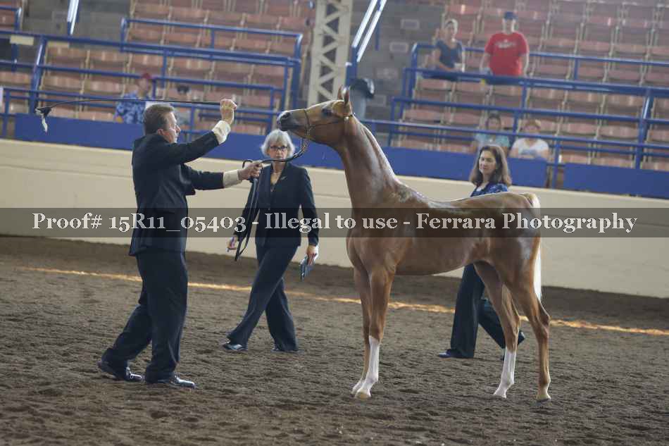 Proof 15R11_05403