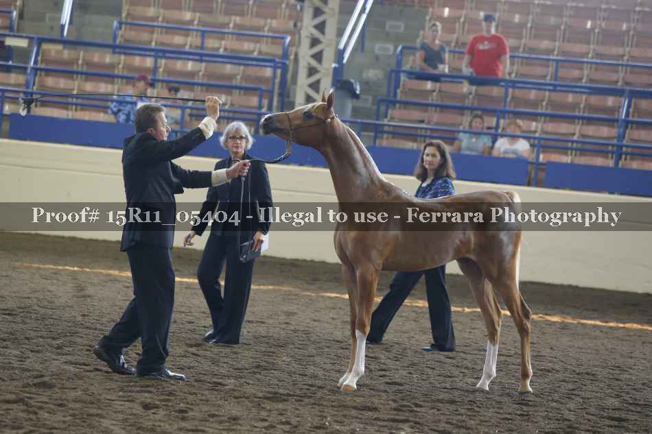 Proof 15R11_05404