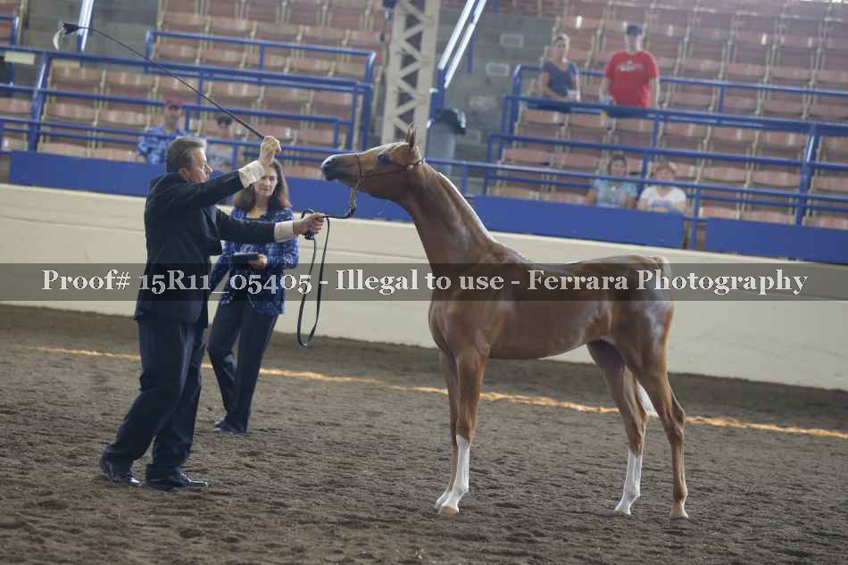Proof 15R11_05405