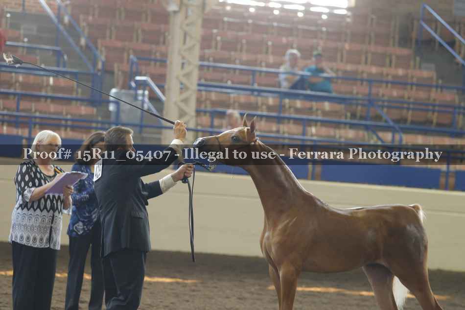 Proof 15R11_05407