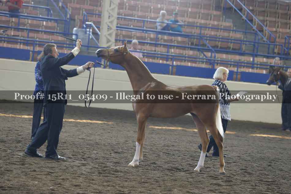 Proof 15R11_05409