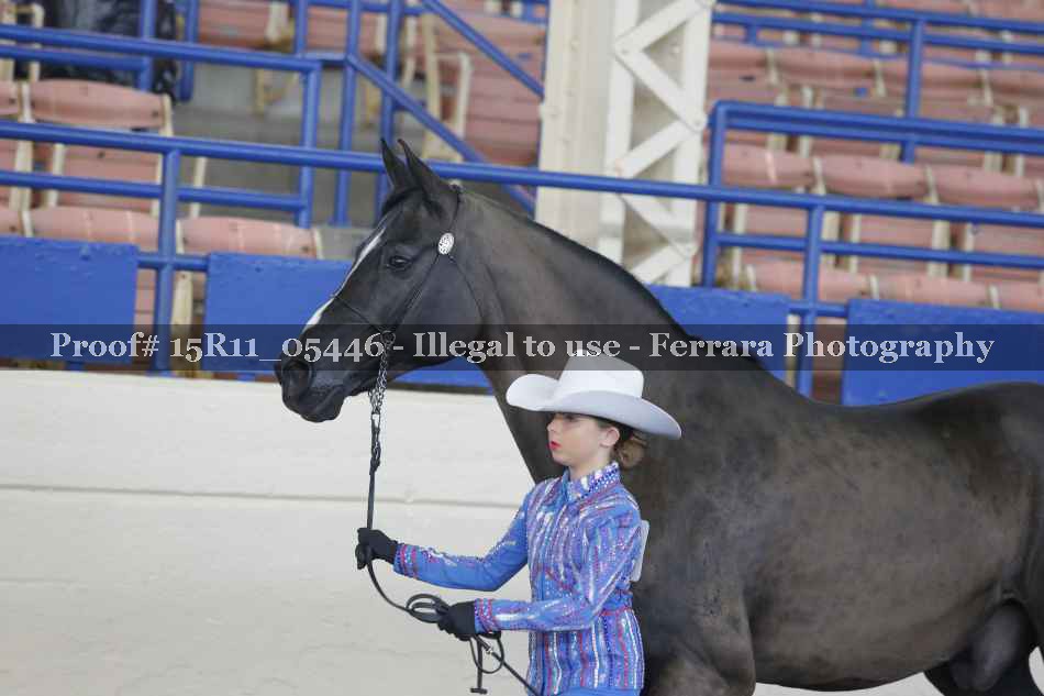 Proof 15R11_05446