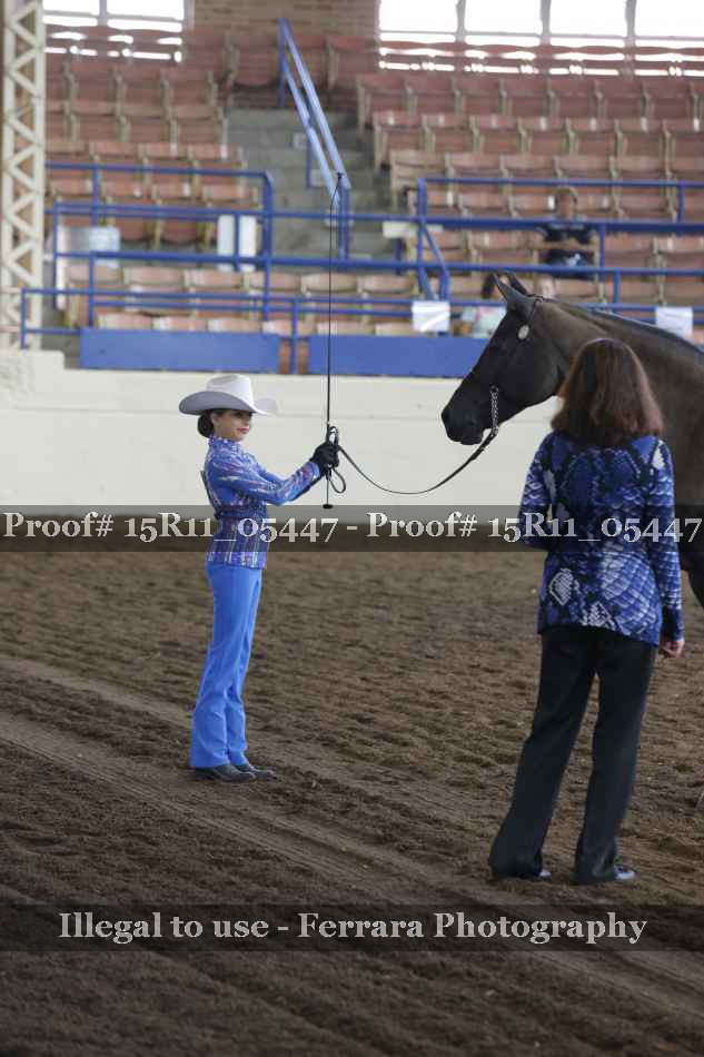 Proof 15R11_05447