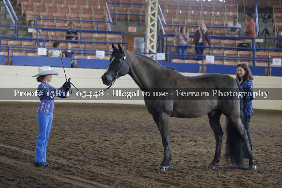 Proof 15R11_05448
