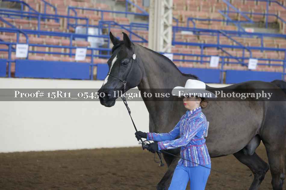 Proof 15R11_05450