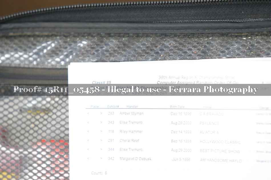 Proof 15R11_05458