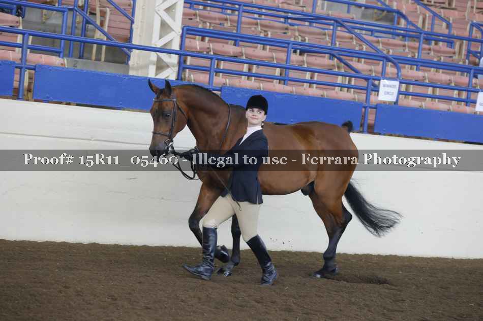 Proof 15R11_05460