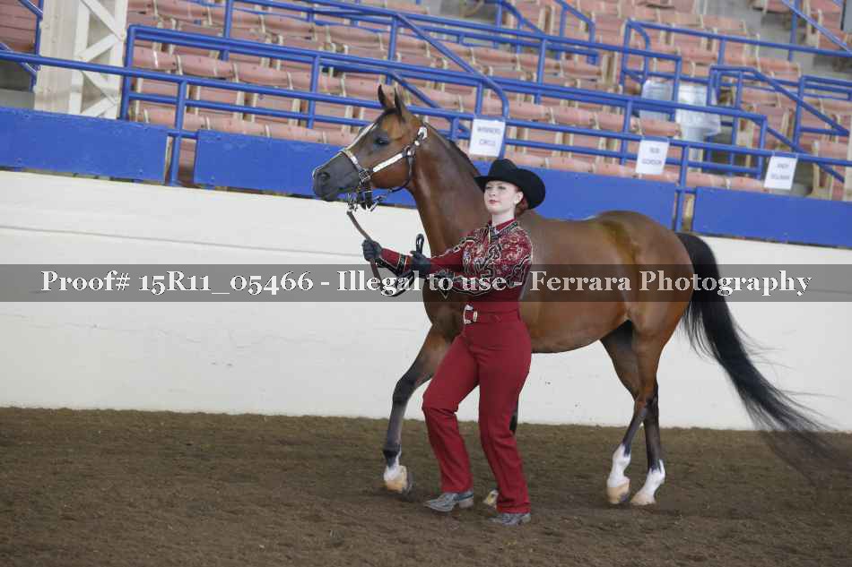 Proof 15R11_05466