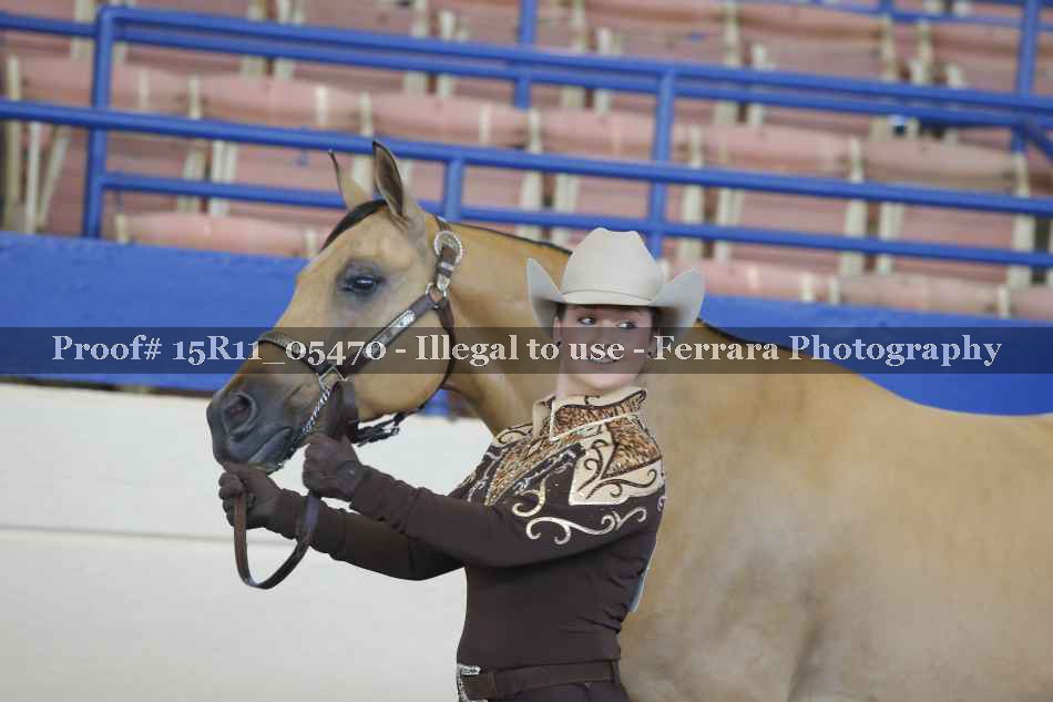 Proof 15R11_05470