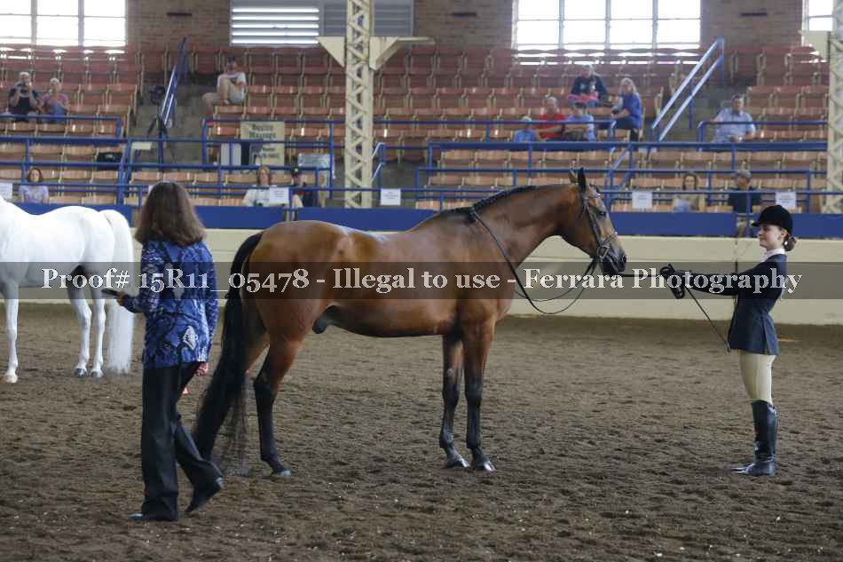 Proof 15R11_05478