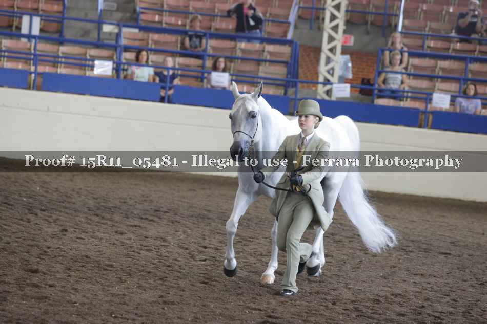 Proof 15R11_05481