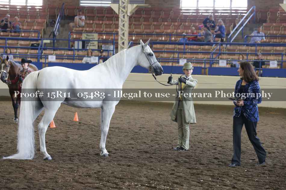 Proof 15R11_05483