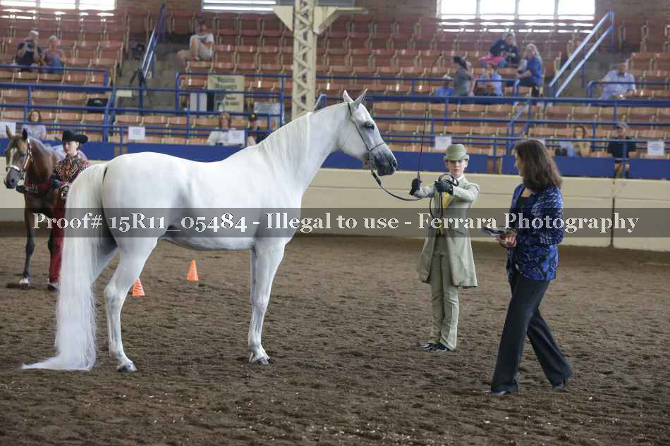Proof 15R11_05484