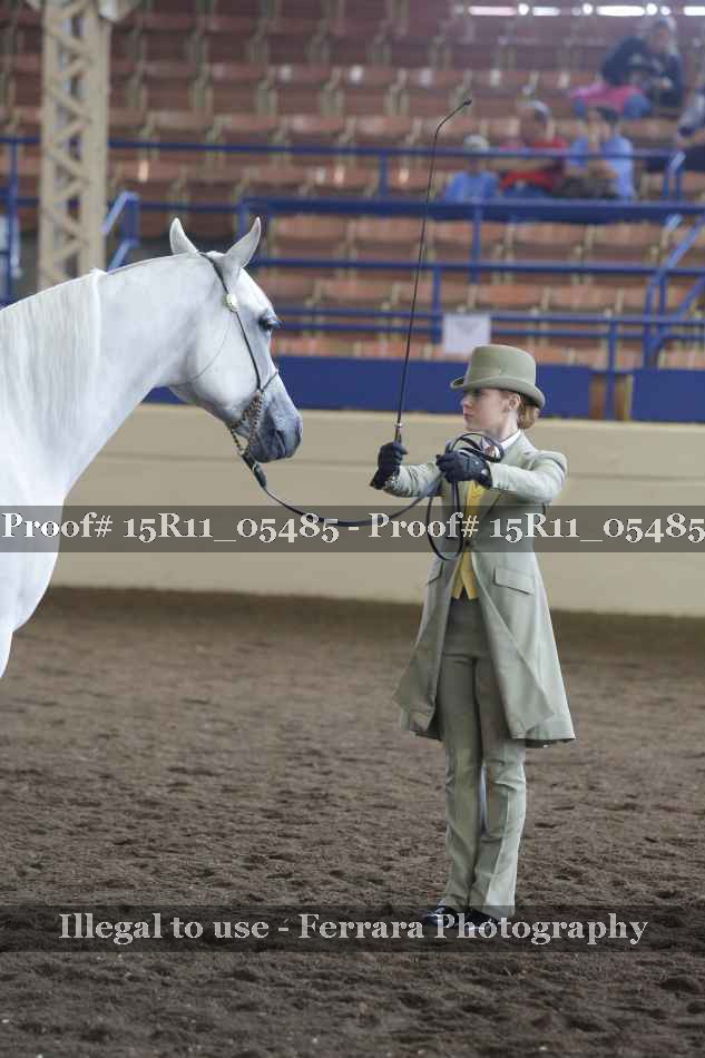 Proof 15R11_05485