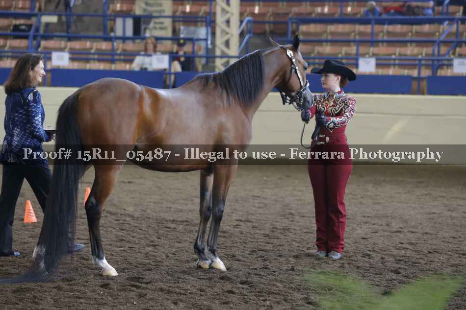 Proof 15R11_05487