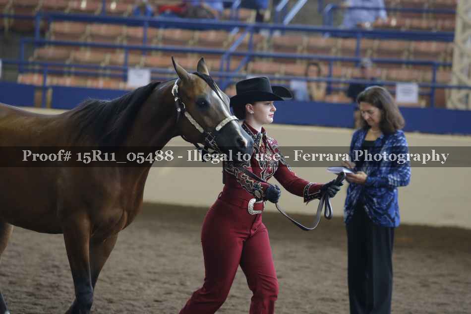 Proof 15R11_05488
