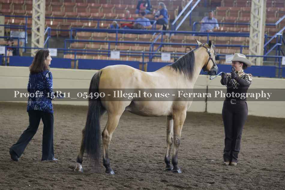 Proof 15R11_05490