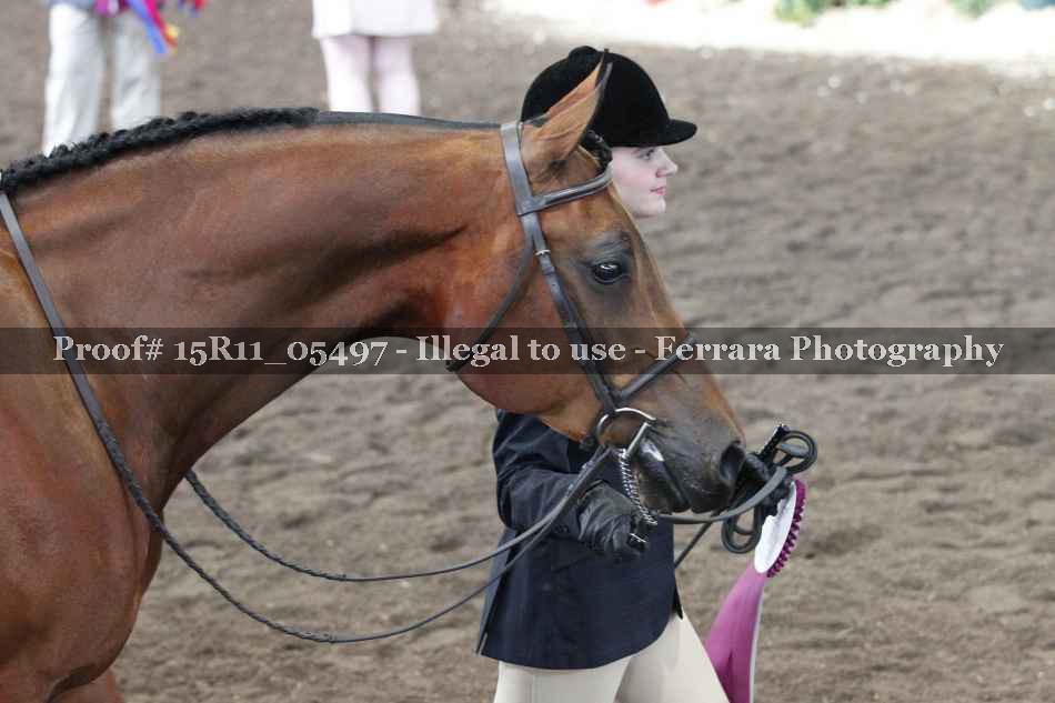 Proof 15R11_05497