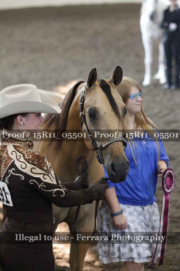 Proof 15R11_05501