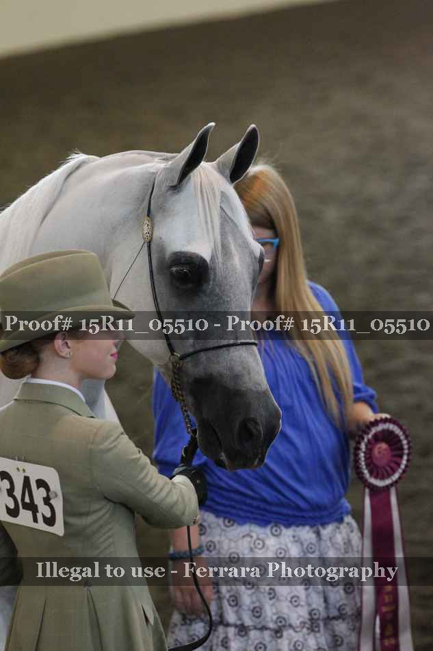 Proof 15R11_05510