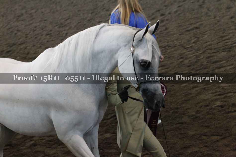 Proof 15R11_05511