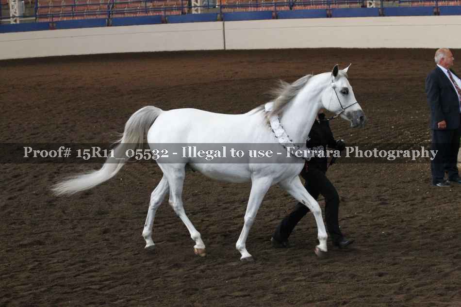 Proof 15R11_05532