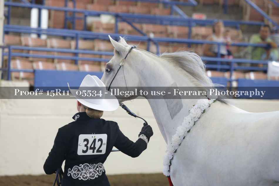 Proof 15R11_05534