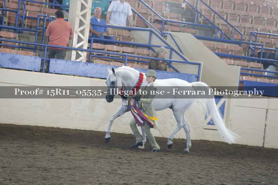 Proof 15R11_05535