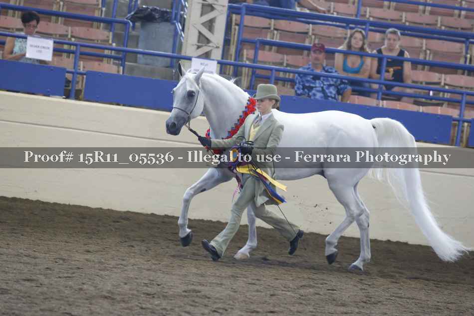 Proof 15R11_05536