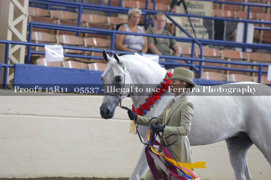 Proof 15R11_05537