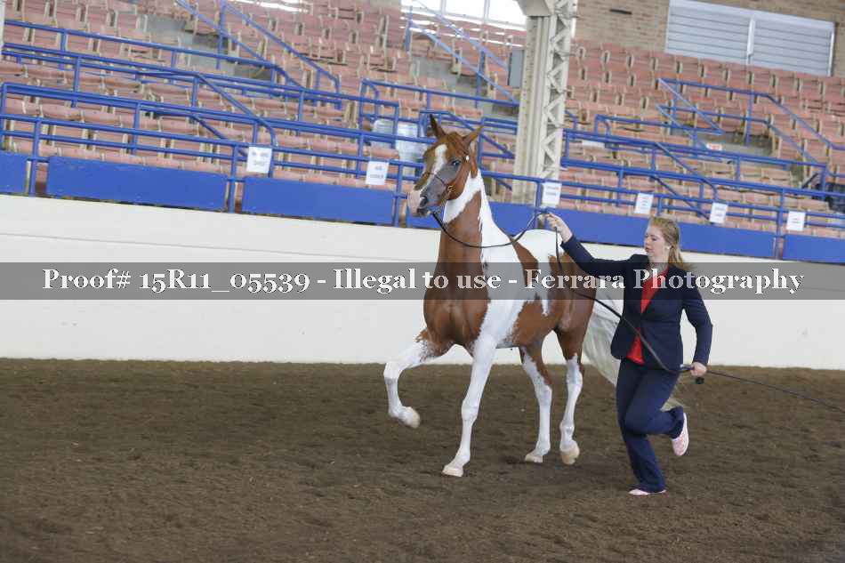Proof 15R11_05539