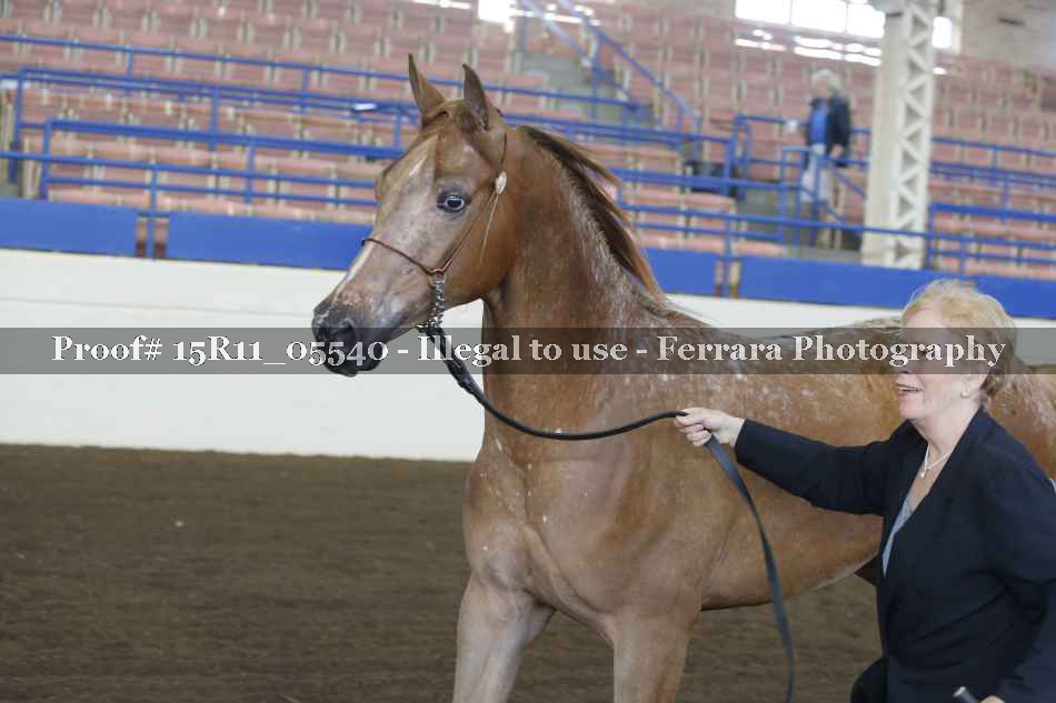 Proof 15R11_05540
