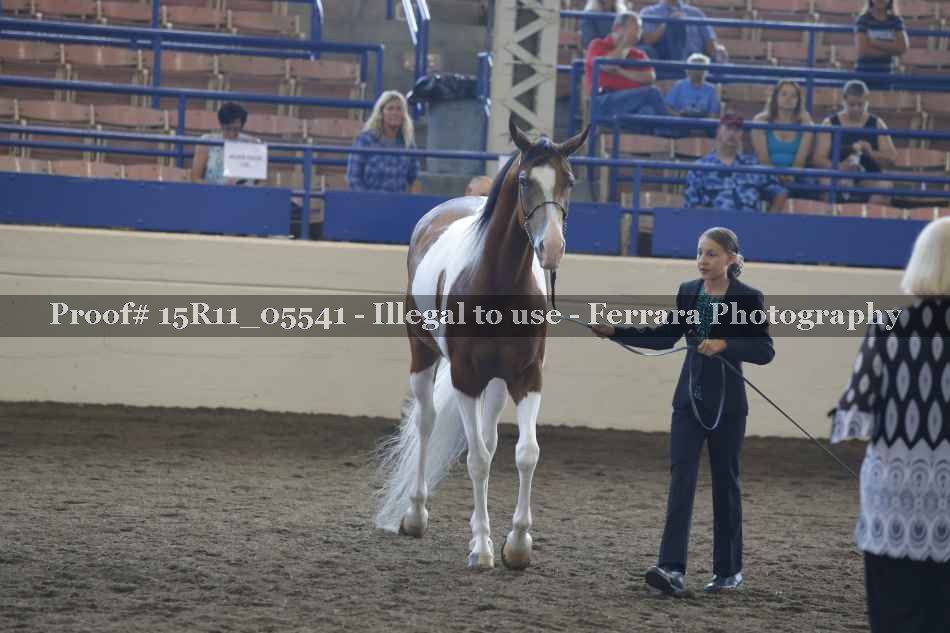 Proof 15R11_05541
