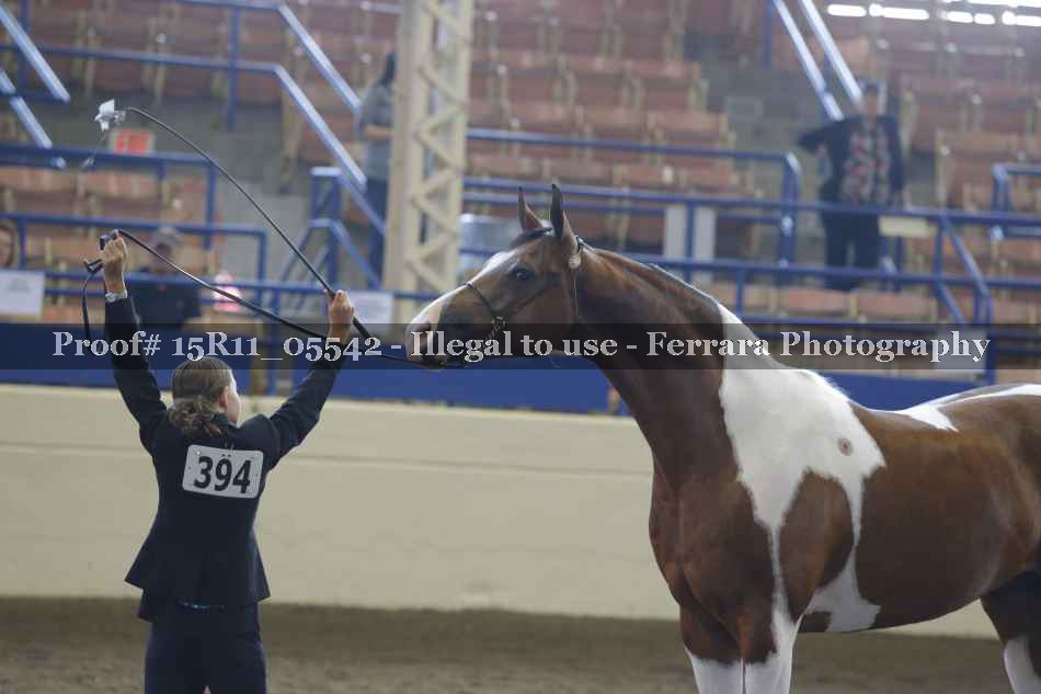 Proof 15R11_05542