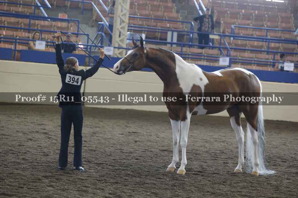 Proof 15R11_05543