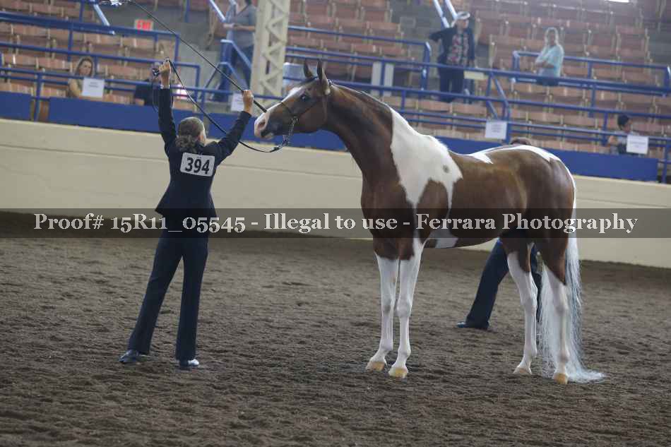 Proof 15R11_05545