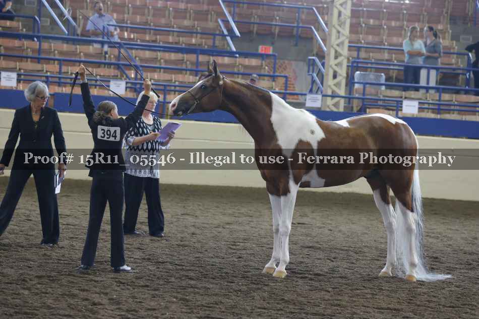 Proof 15R11_05546