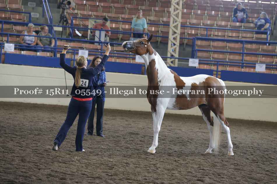 Proof 15R11_05549