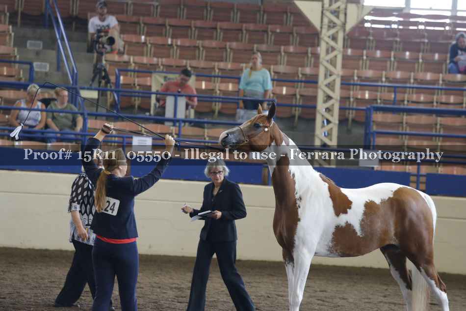 Proof 15R11_05550